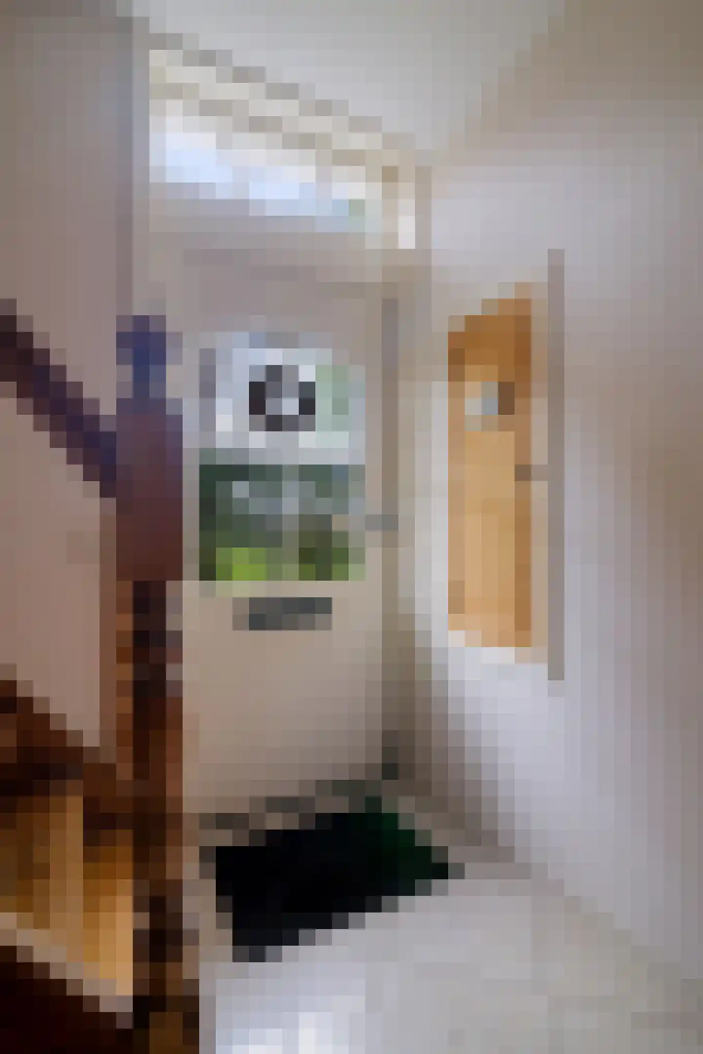 Rondweg-Noord 17 Dokkum thumbnail 20