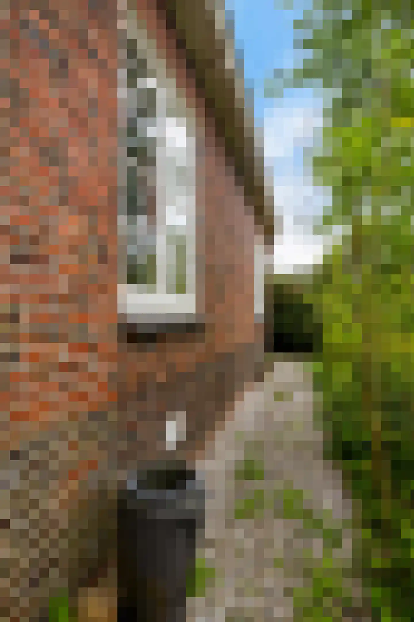Rondweg-Noord 17 Dokkum thumbnail 40
