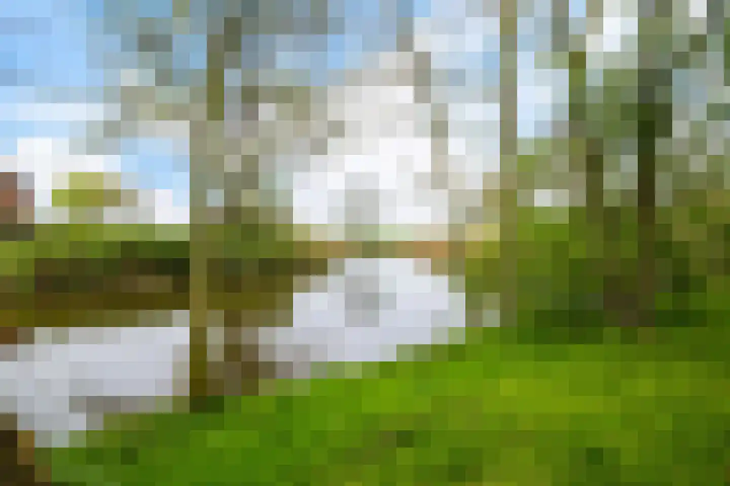 Rondweg-Noord 17 Dokkum thumbnail 41