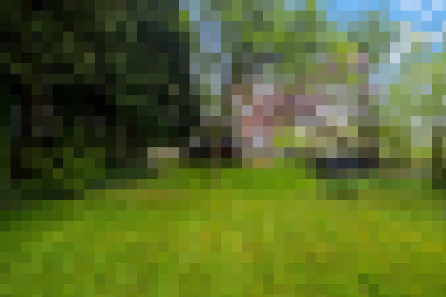 Rondweg-Noord 17 Dokkum thumbnail 42