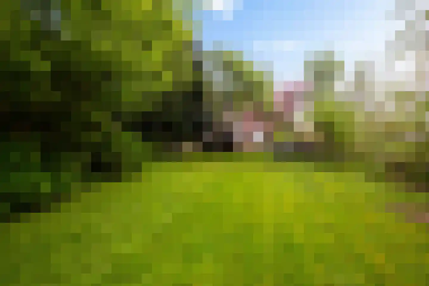 Rondweg-Noord 17 Dokkum thumbnail 43