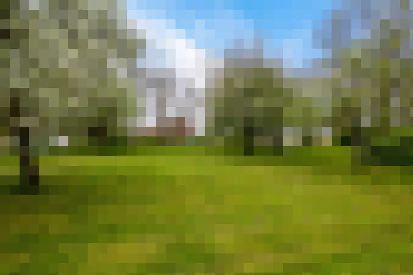 Rondweg-Noord 17 Dokkum thumbnail 44