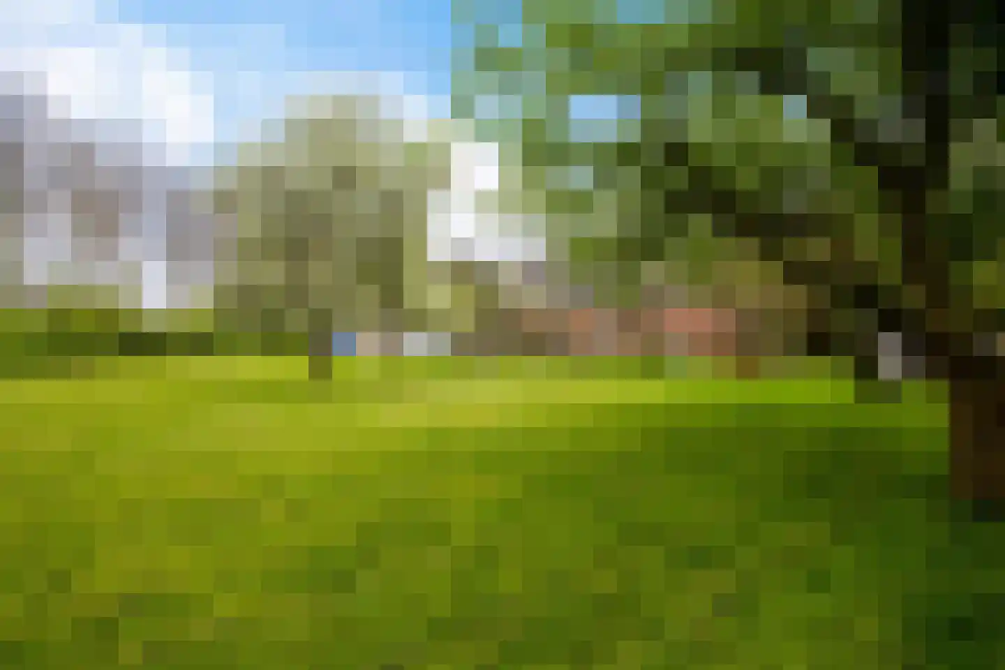 Rondweg-Noord 17 Dokkum thumbnail 45