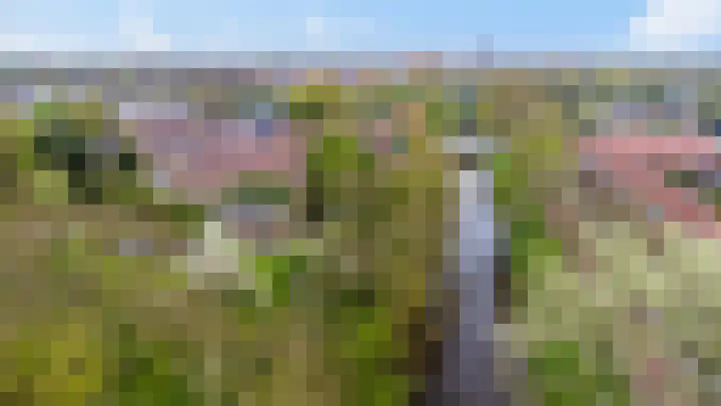 Rondweg-Noord 17 Dokkum thumbnail 8