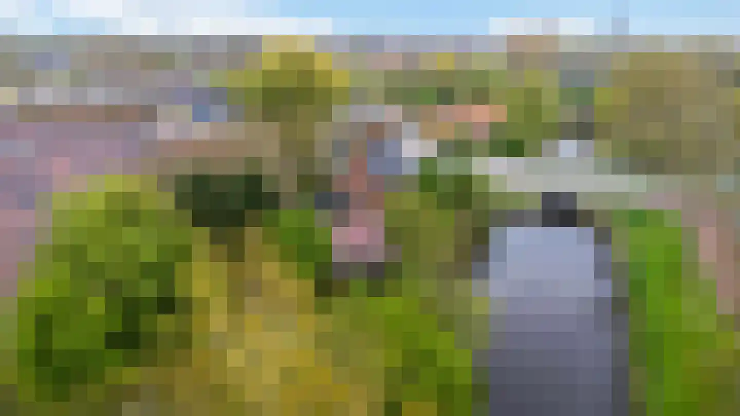 Rondweg-Noord 17 Dokkum thumbnail 9
