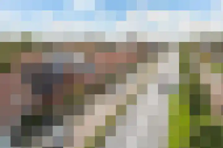 Rondweg-Noord 32 Dokkum thumbnail 49