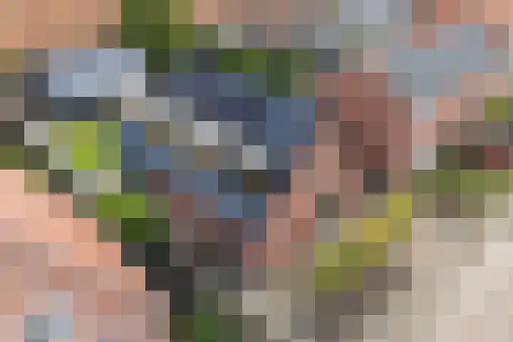 Rondweg-Noord 32 Dokkum thumbnail 5