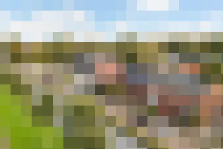 Rondweg-Noord 32 Dokkum thumbnail 50