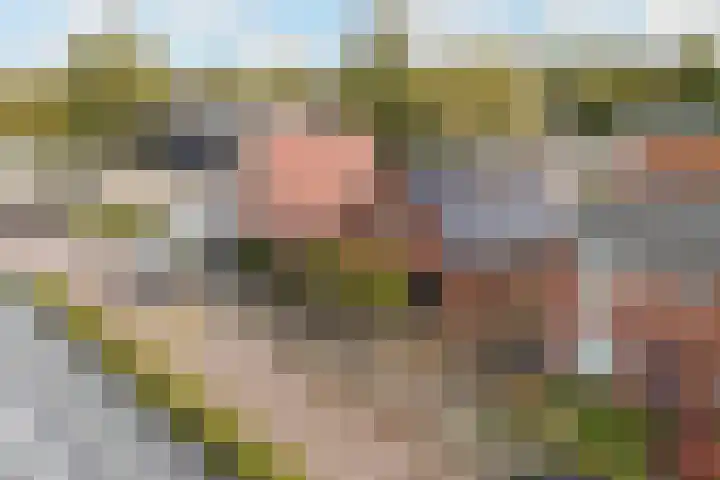 Rondweg-Noord 32 Dokkum thumbnail 53