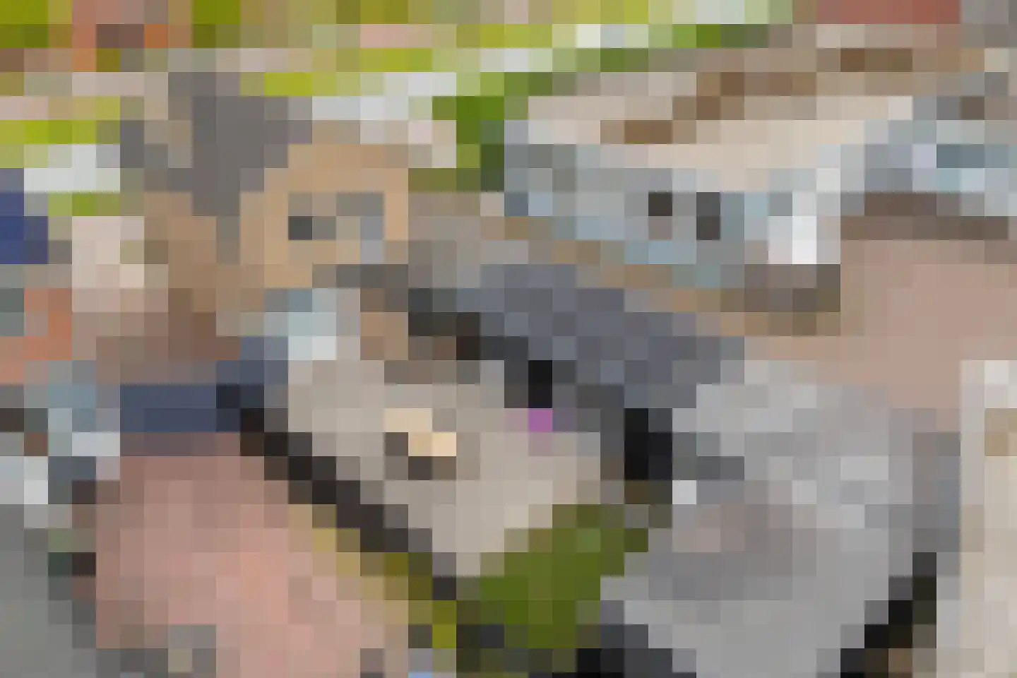 Rondweg-Noord 62 Dokkum thumbnail 57