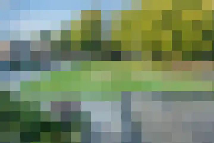Ronerbrink 116 Emmen thumbnail 27