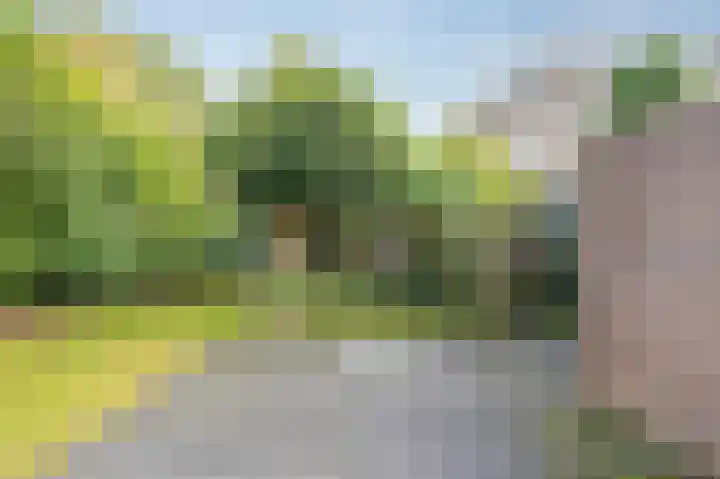 Ronerbrink 116 Emmen thumbnail 29
