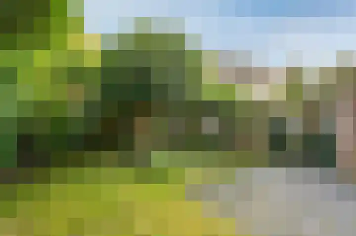 Ronerbrink 116 Emmen thumbnail 30