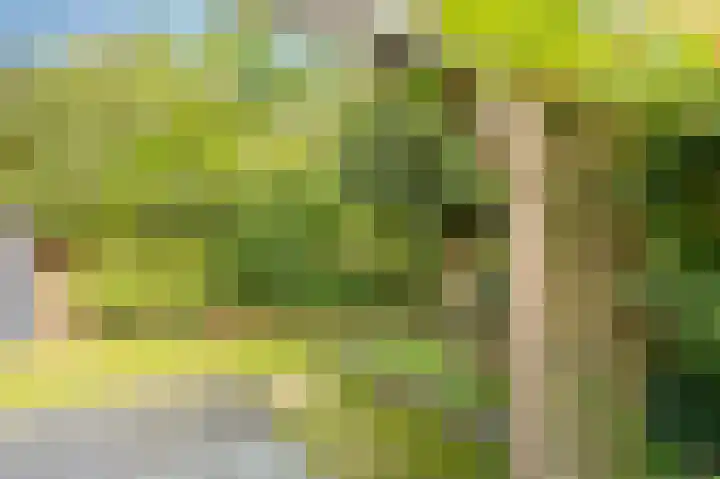 Ronerbrink 116 Emmen thumbnail 31