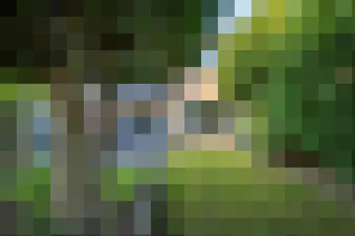Ronerbrink 116 Emmen thumbnail 32
