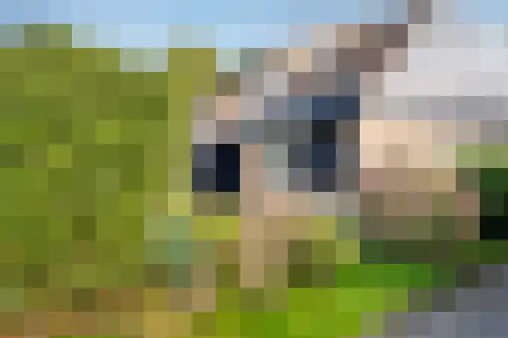 Ronerbrink 116 Emmen thumbnail 34