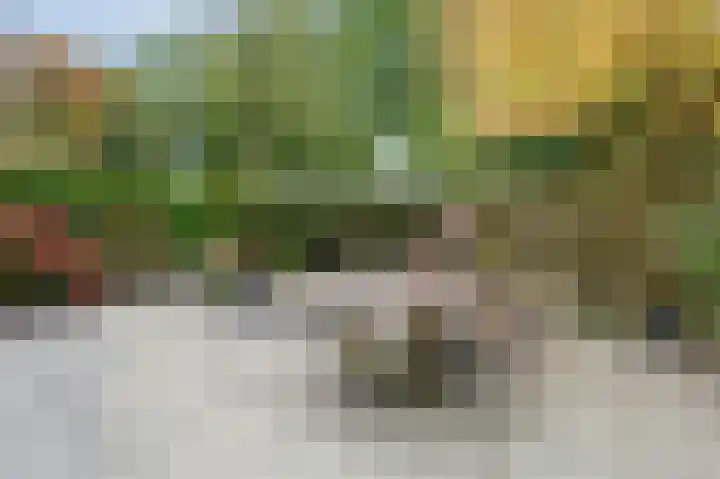 Ronerbrink 124 Emmen thumbnail 36