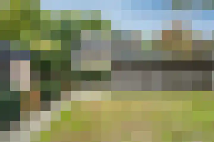 Ronerbrink 124 Emmen thumbnail 37