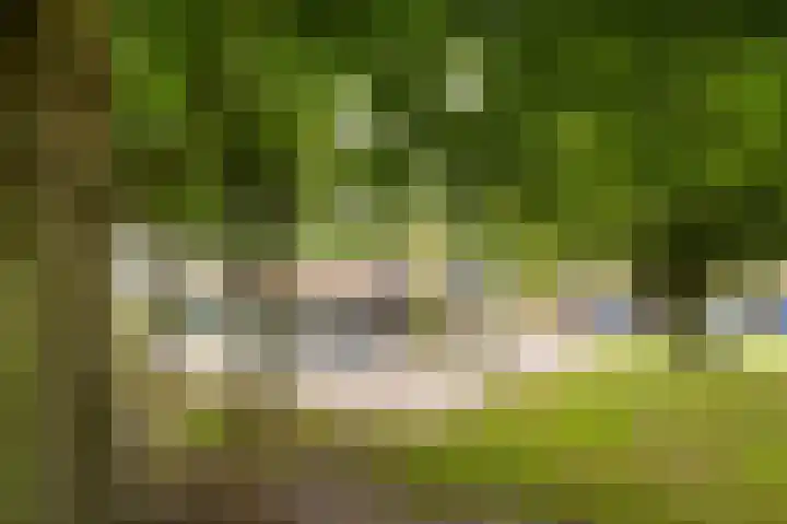 Ronerbrink 124 Emmen thumbnail 41