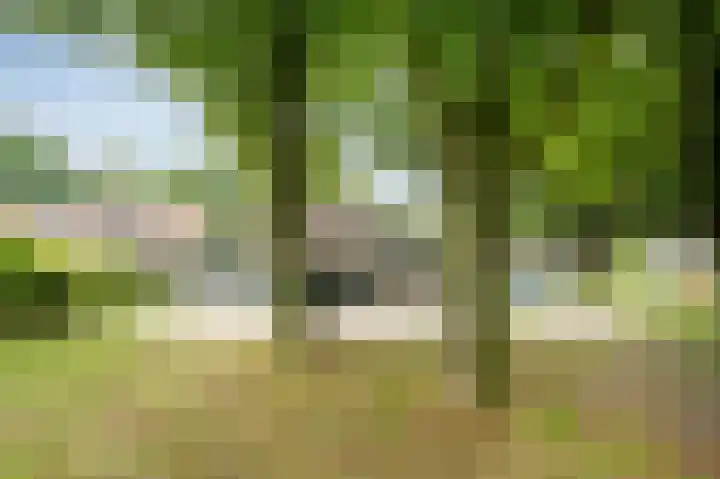 Ronerbrink 124 Emmen thumbnail 42