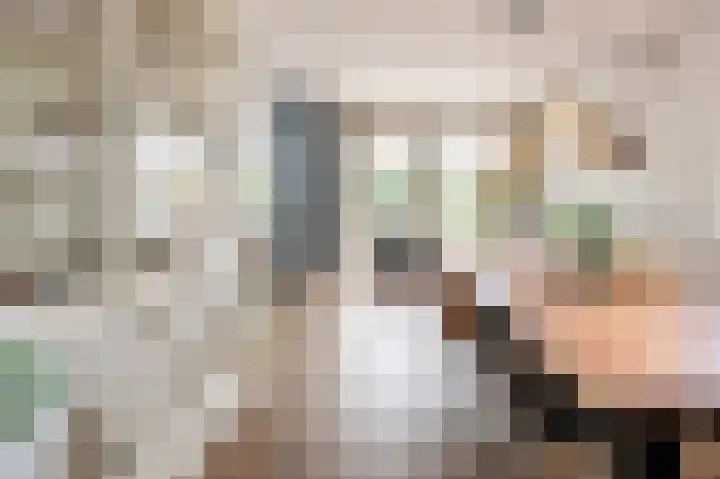 Ronerbrink 124 Emmen thumbnail 8