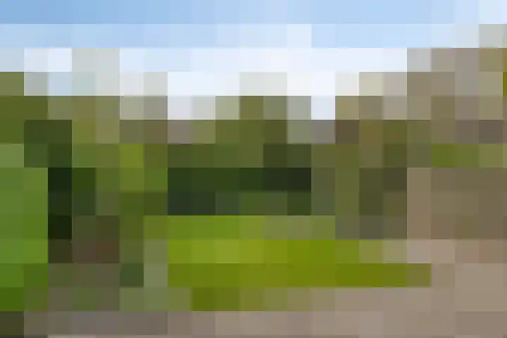 Ronerbrink 150 Emmen thumbnail 38