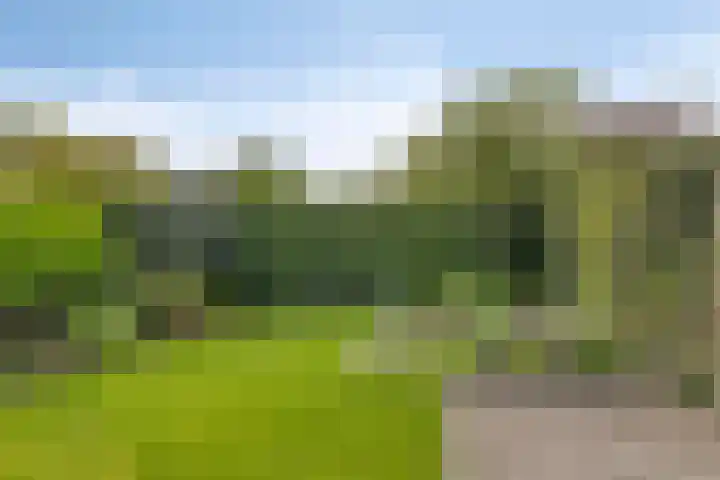 Ronerbrink 150 Emmen thumbnail 39
