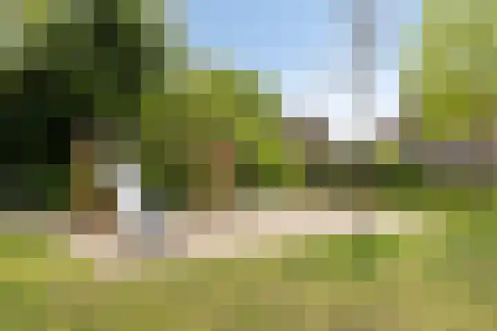 Ronerbrink 150 Emmen thumbnail 40