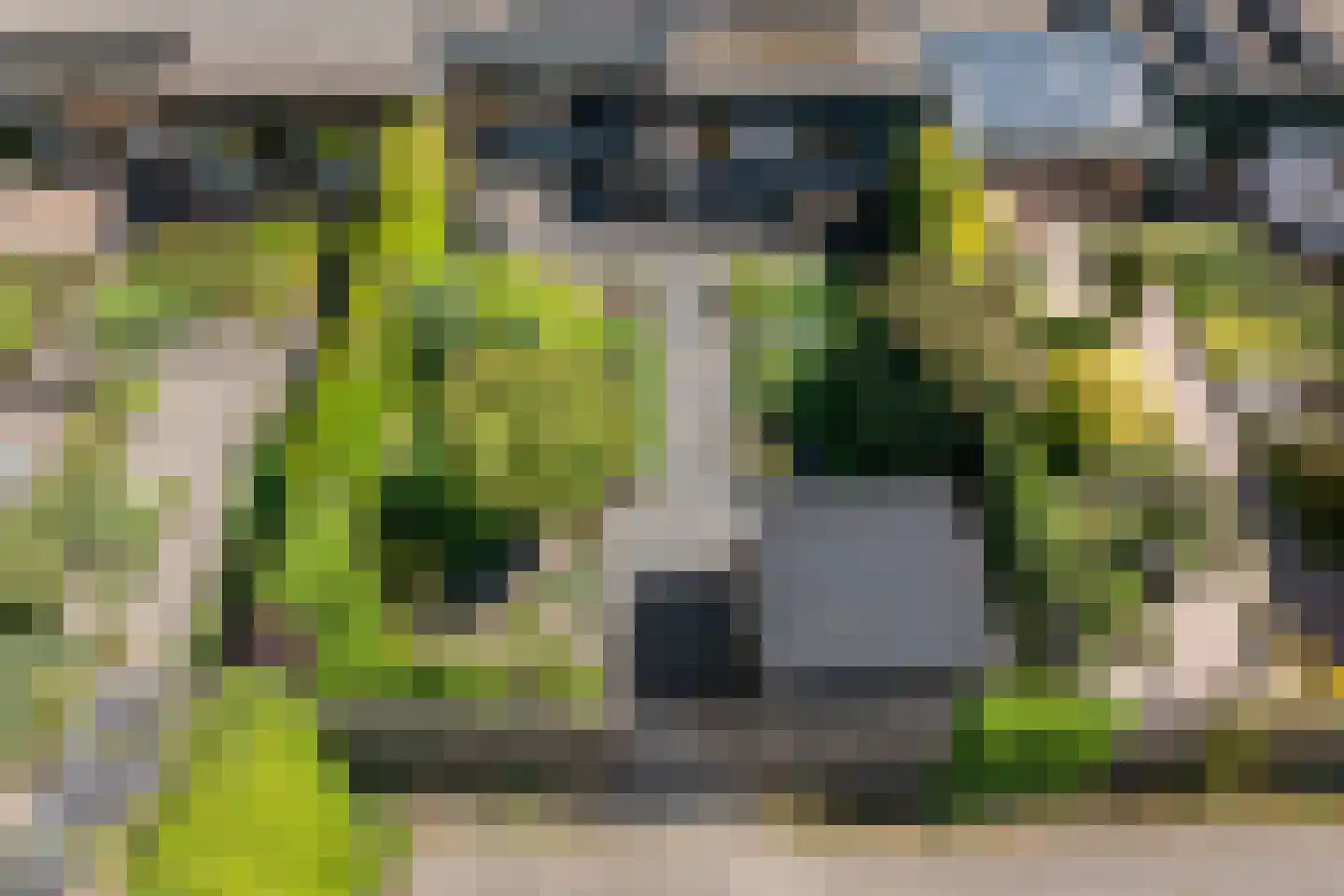 Ronerbrink 48 Emmen thumbnail 38