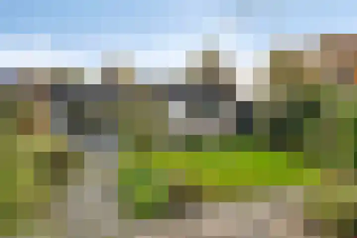 Ronerbrink 54 Emmen thumbnail 32