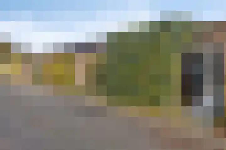 Ronerbrink 54 Emmen thumbnail 34