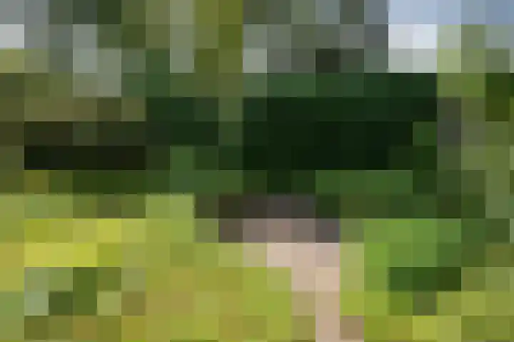Ronerbrink 94 Emmen thumbnail 27