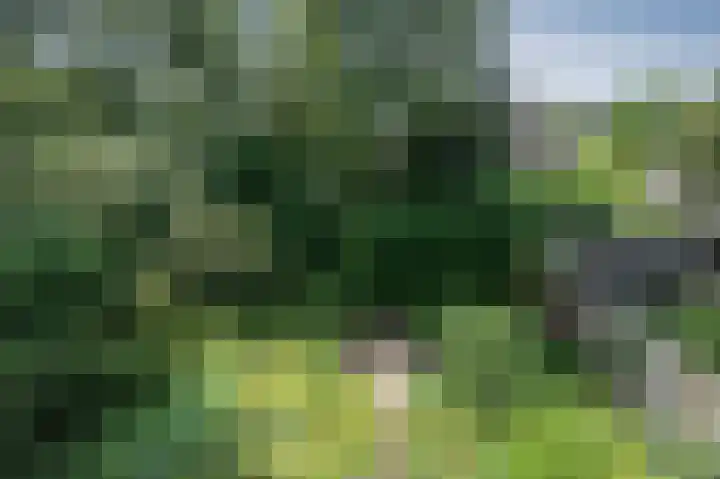 Ronerbrink 94 Emmen thumbnail 28