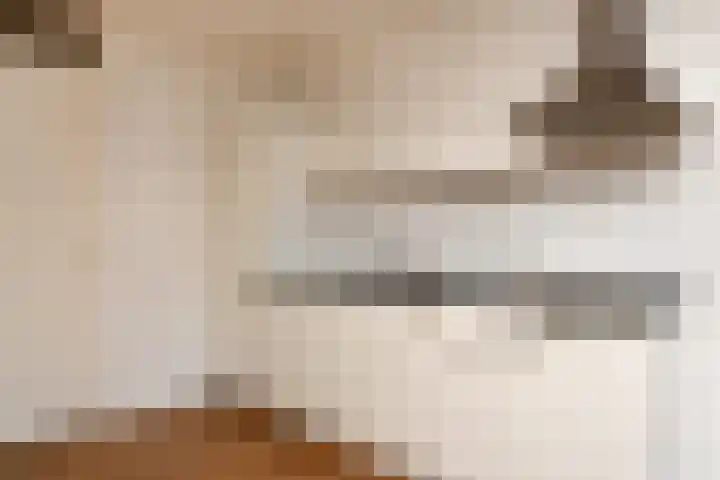 Rongelstraat 15 Steenbergen thumbnail 6