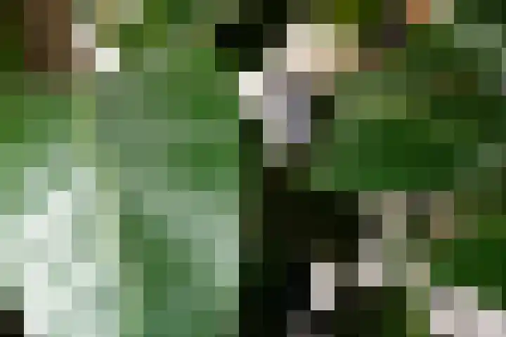 Rongen 13 Blaricum thumbnail 13