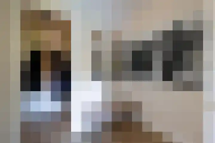 Rongen 13 Blaricum thumbnail 5