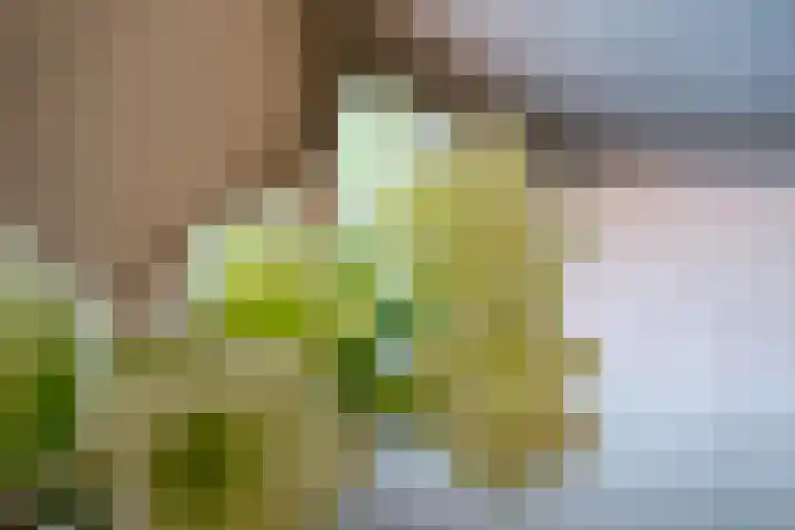 Rongen 13 Blaricum thumbnail 6