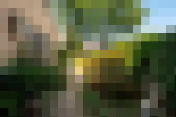 Rongen 6 Blaricum thumbnail 21