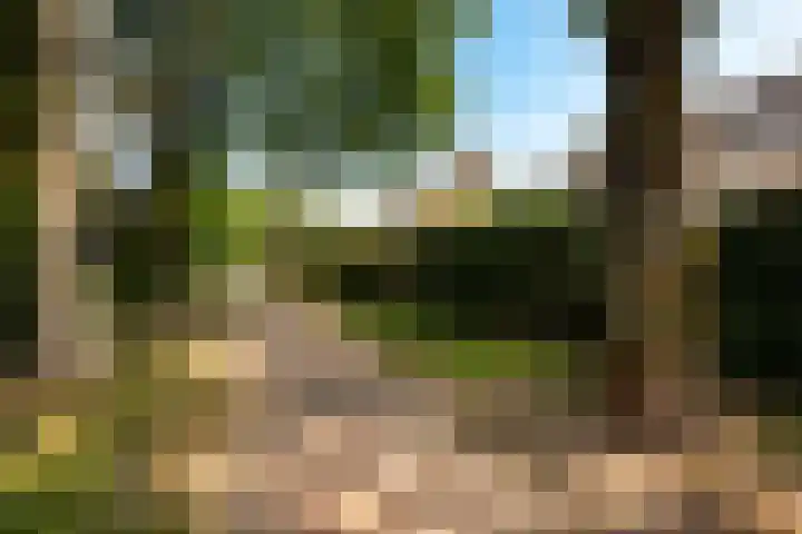 Rongen 6 Blaricum thumbnail 22