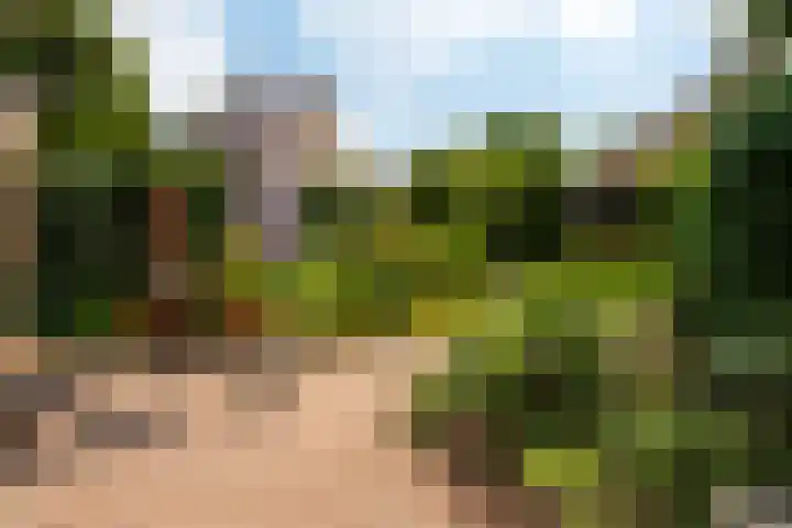 Rongen 6 Blaricum thumbnail 9