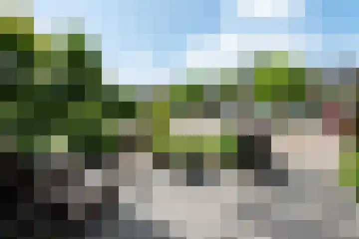 Ronhaarstraat 92 Amersfoort thumbnail 8