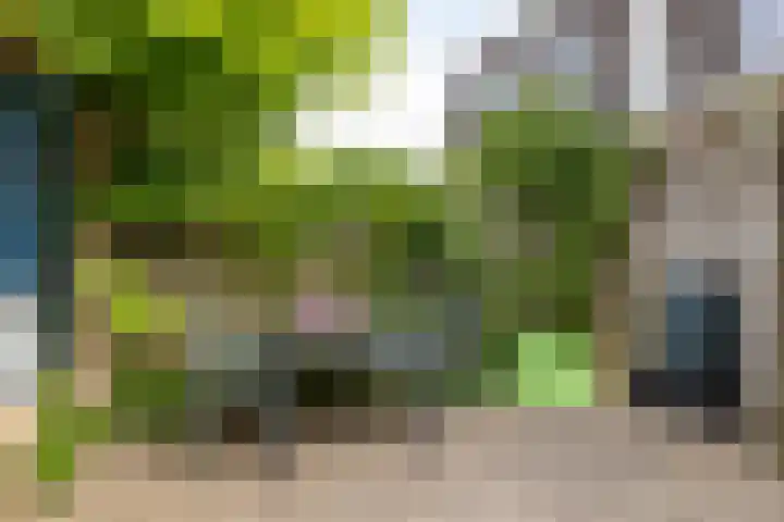 Ronkelskamp 20 Annen thumbnail 10