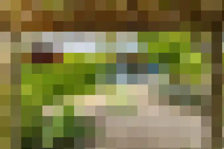 Ronkelskamp 20 Annen thumbnail 28