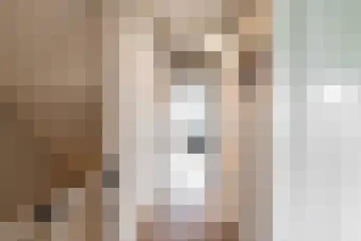 Ronkelskamp 20 Annen thumbnail 33