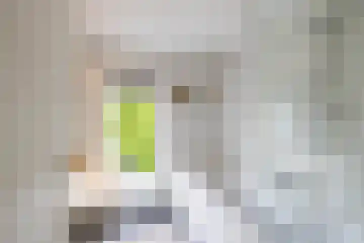 Ronkelskamp 20 Annen thumbnail 35