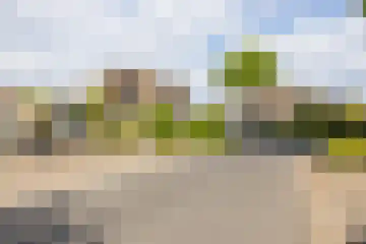 Ronkelskamp 20 Annen thumbnail 49