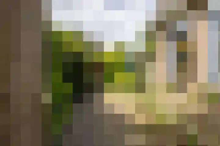Ronkelskamp 20 Annen thumbnail 6
