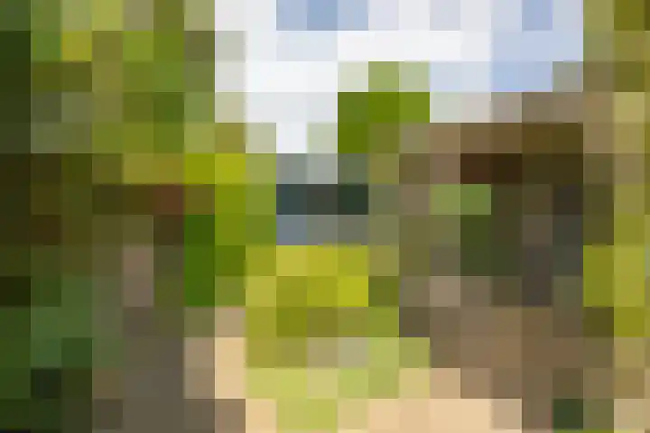 Ronkelskamp 20 Annen thumbnail 7