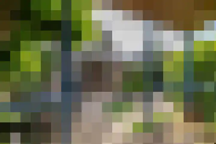 Ronkelskamp 20 Annen thumbnail 8