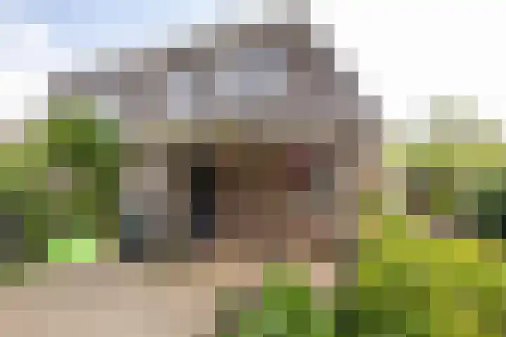 Ronkelskamp 20 Annen thumbnail 9